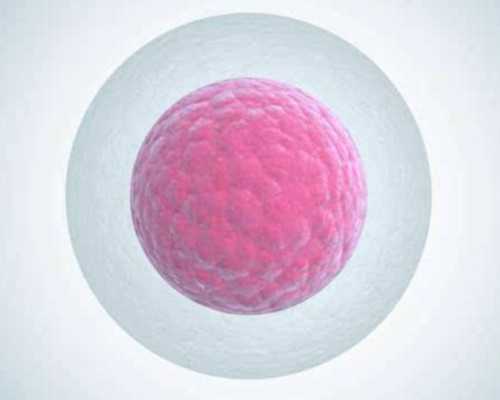 如何调理卵巢早衰助孕？_供卵代生孩子