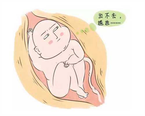 国内靠谱代孕_温州助孕机构_上海靠谱的代怀孕哪家好_卵巢早衰代怀孕电话_天