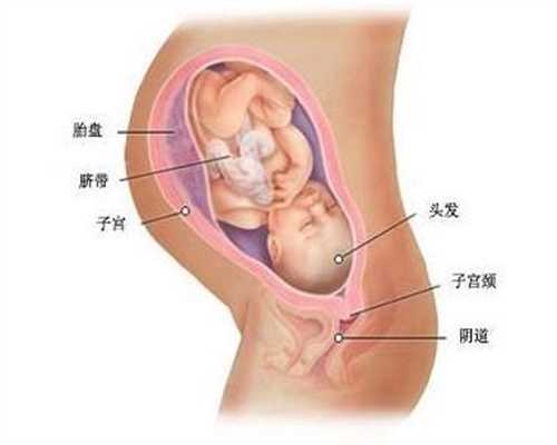 国内靠谱代孕_温州助孕机构_上海靠谱的代怀孕哪家好_卵巢早衰代怀孕电话_天