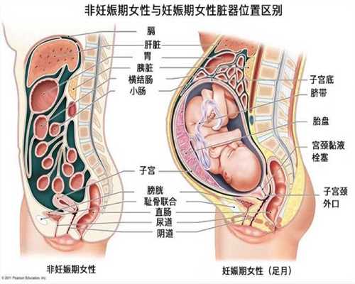 温州试管代孕成功率_温州代孕成功率_赴柬埔寨试管婴儿流程：是怎么促卵的呢 