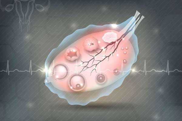 胚胎发育缓慢_双角子宫怀孕经历_女人和男人结扎后还可以做试管婴儿吗？