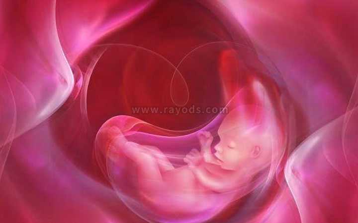 切除子宫能试管_子宫半切除后怀孕_平谷试管婴儿移植后几天可以验孕?验孕成功