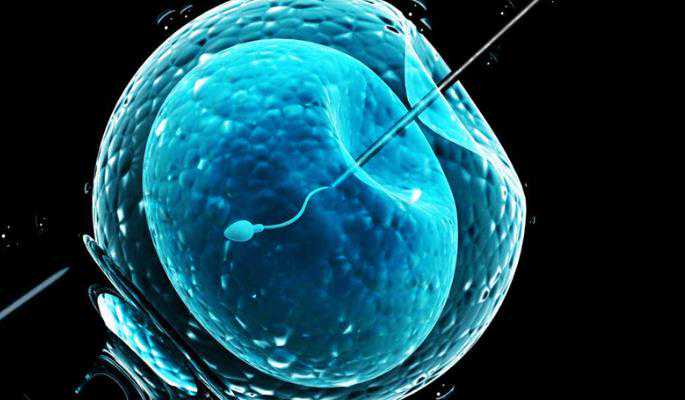 无排卵性不孕症_输卵管过长能怀孕_试管婴儿技术到底如何，成功率是否普遍虚