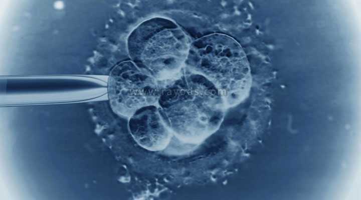 试管婴儿第五天的4bb囊胚质量到底怎么样？