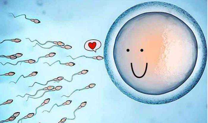 生殖器发育不良_切除子宫后怀孕了_试管婴儿一超二超三超查什么－经验分享